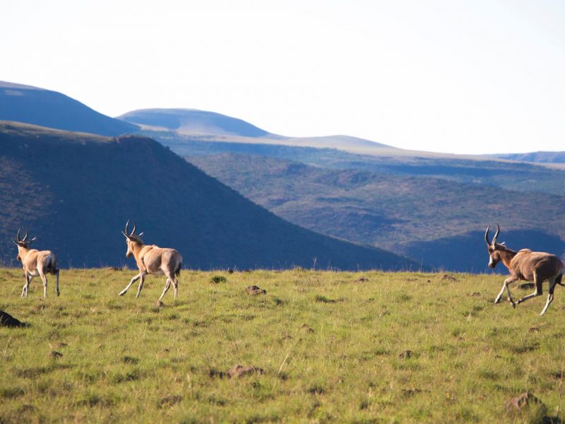 13528173_10153703347576299_7567800823123547970_o